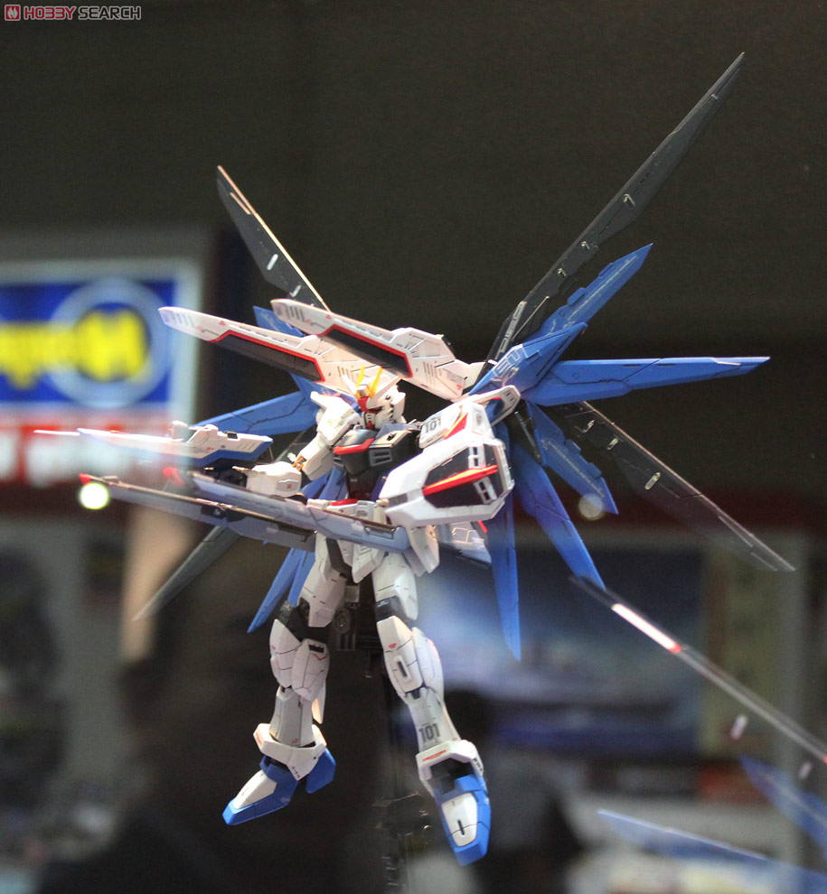 RG 1/144 Freedom Gundam by Bandai