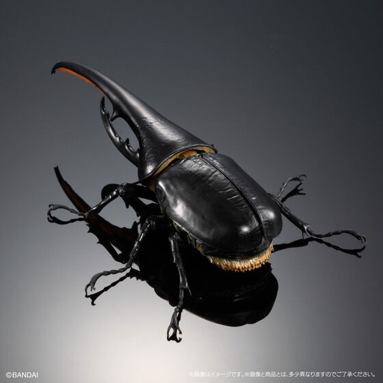 PRE-ORDER : Ikimono Encyclopedia Premium Hercules Beetle (Dynastes hercules)
