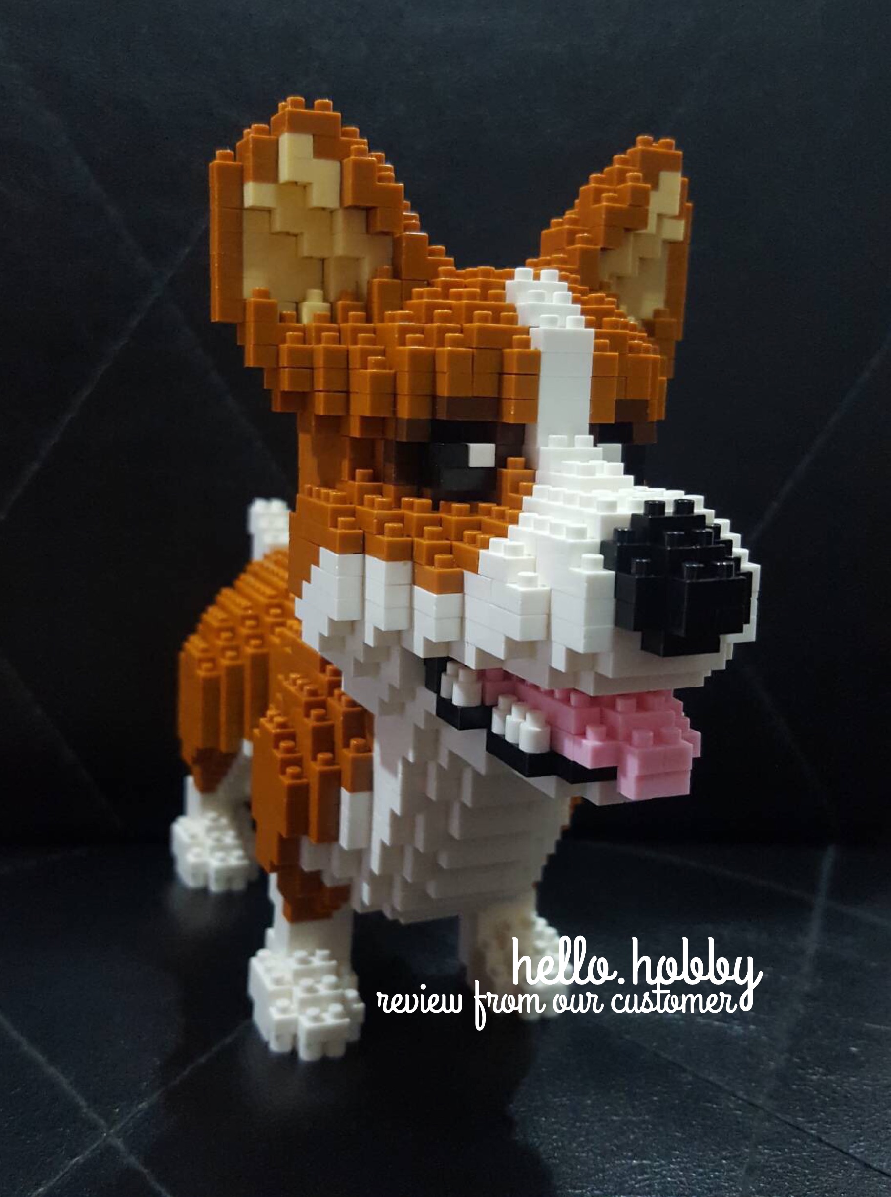 Balody 16043 Corgi 1380pcs