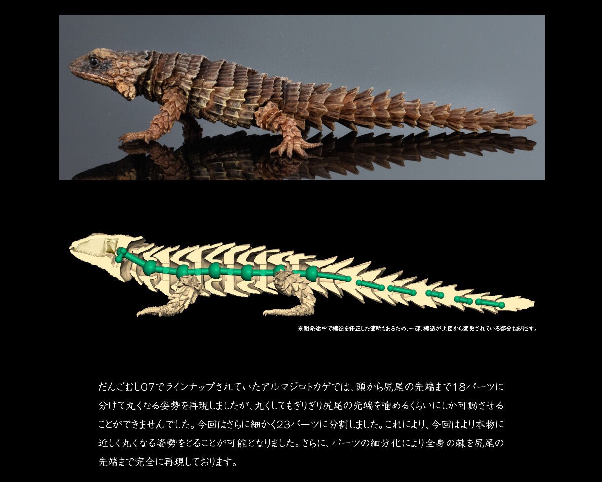 PRE-ORDER : Ikimono Encyclopedia Advance Armadillo Lizards (Random)