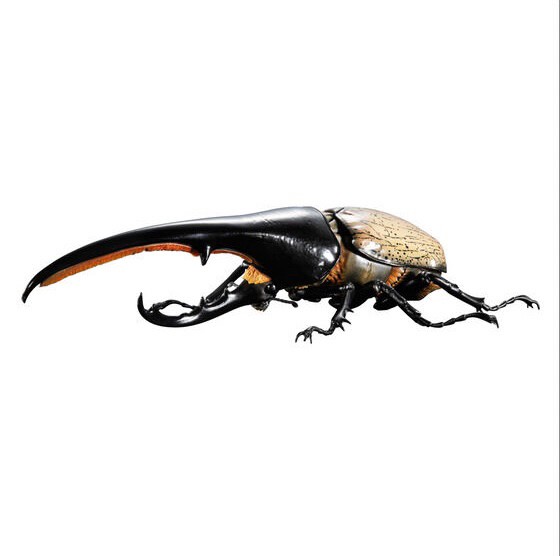 PRE-ORDER : Ikimono Encyclopedia Premium Hercules Beetle (Dynastes hercules)