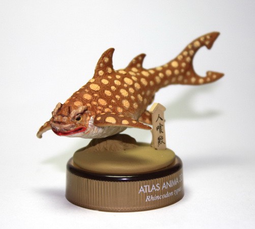 งานฝา สัตว์น้ำ New Enoshima Aquarium World Museum ATLAS ANIMA 3D Bottle Cap Collection (Set of 8) by Kaiyodo