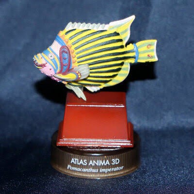 งานฝา สัตว์น้ำ New Enoshima Aquarium World Museum ATLAS ANIMA 3D Bottle Cap Collection (Set of 8) by Kaiyodo