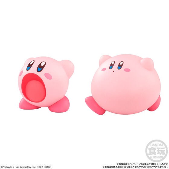 PRE-ORDER : Kirby Friends 2 (12 pcs)