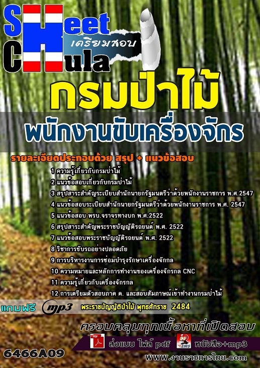 แนวข้อสอบพนักงานขับเครื่องจักร กรมป่าไม้