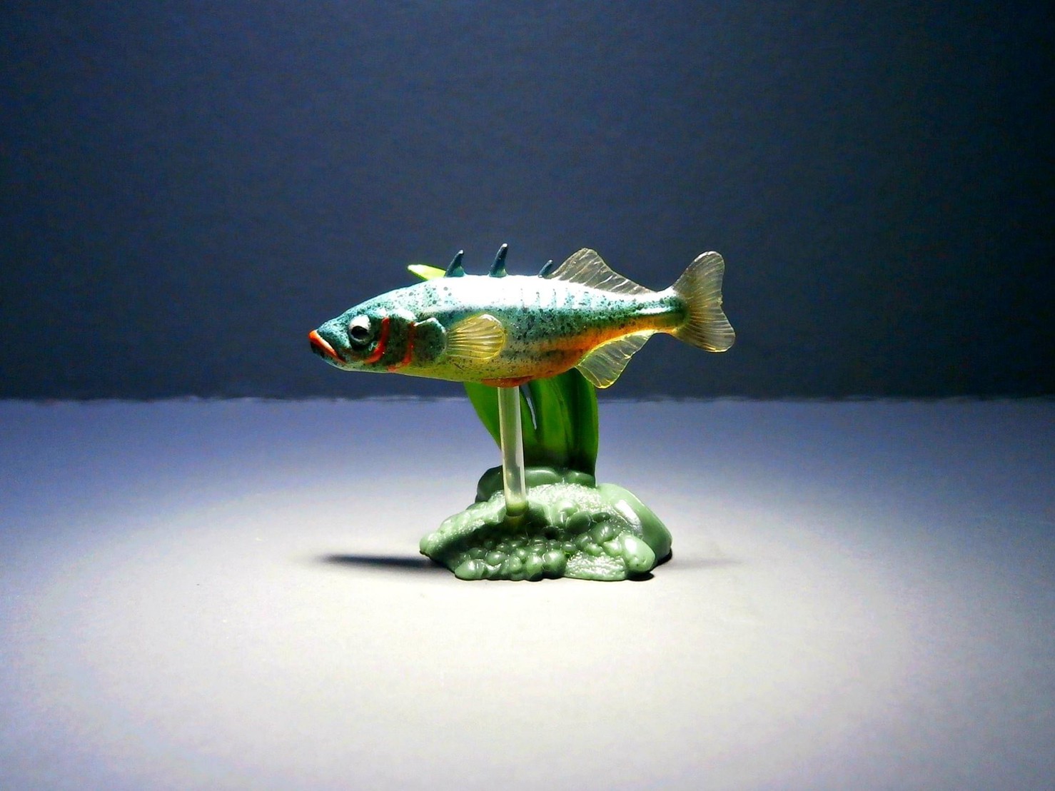 กาชาปอง Freshwater Fish Collection vol. 1 Gashapon (Set of 13) by Yujin