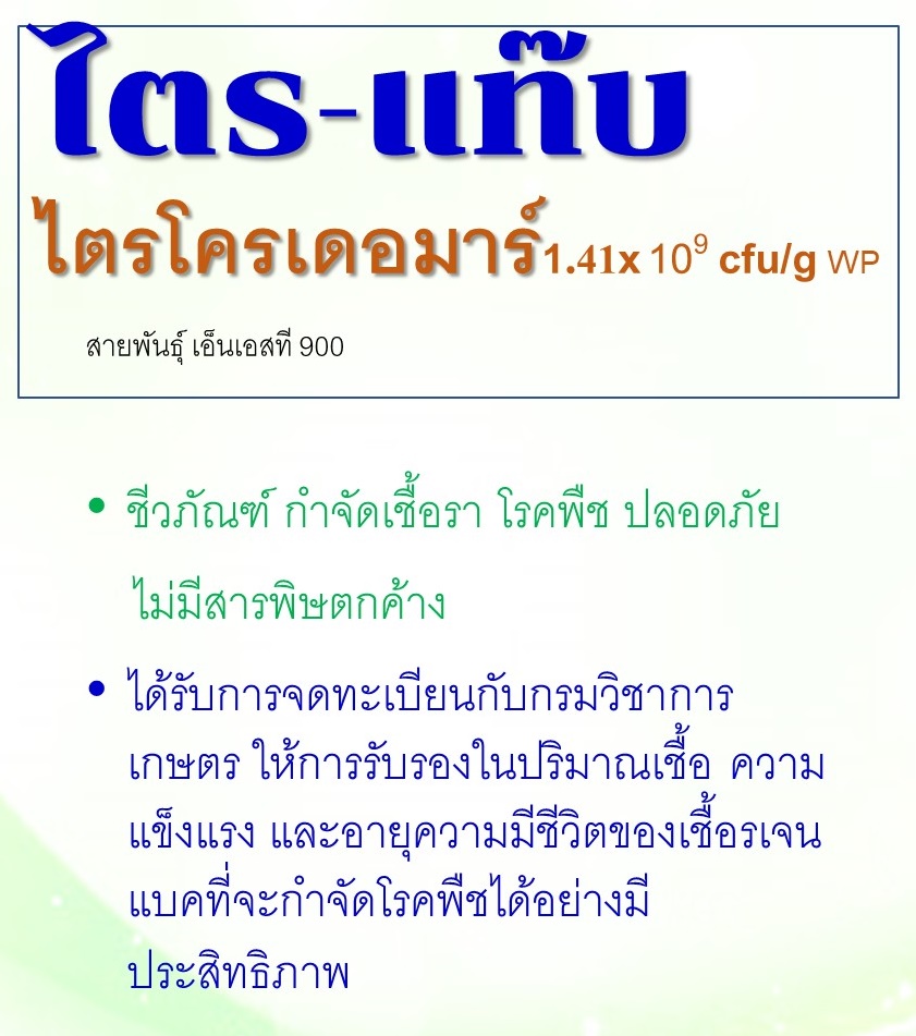 ไตร-แท๊บ[TRI-TAB, 200g]: ชีวภัณฑ์เชื้อราที่กินเชื้อราสาเหตุโรคพืชทุกชนิด ทุเรียนปลอดภัยจากโรครากเน่าโคนเน่า ที่ปลูกใหม่รอดตาย 100% หยุดโรคกาบใบเเห้งในข้าว ใช้ง่ายปลอดภัย ขยายเชื้อ10เท่าประหยัด