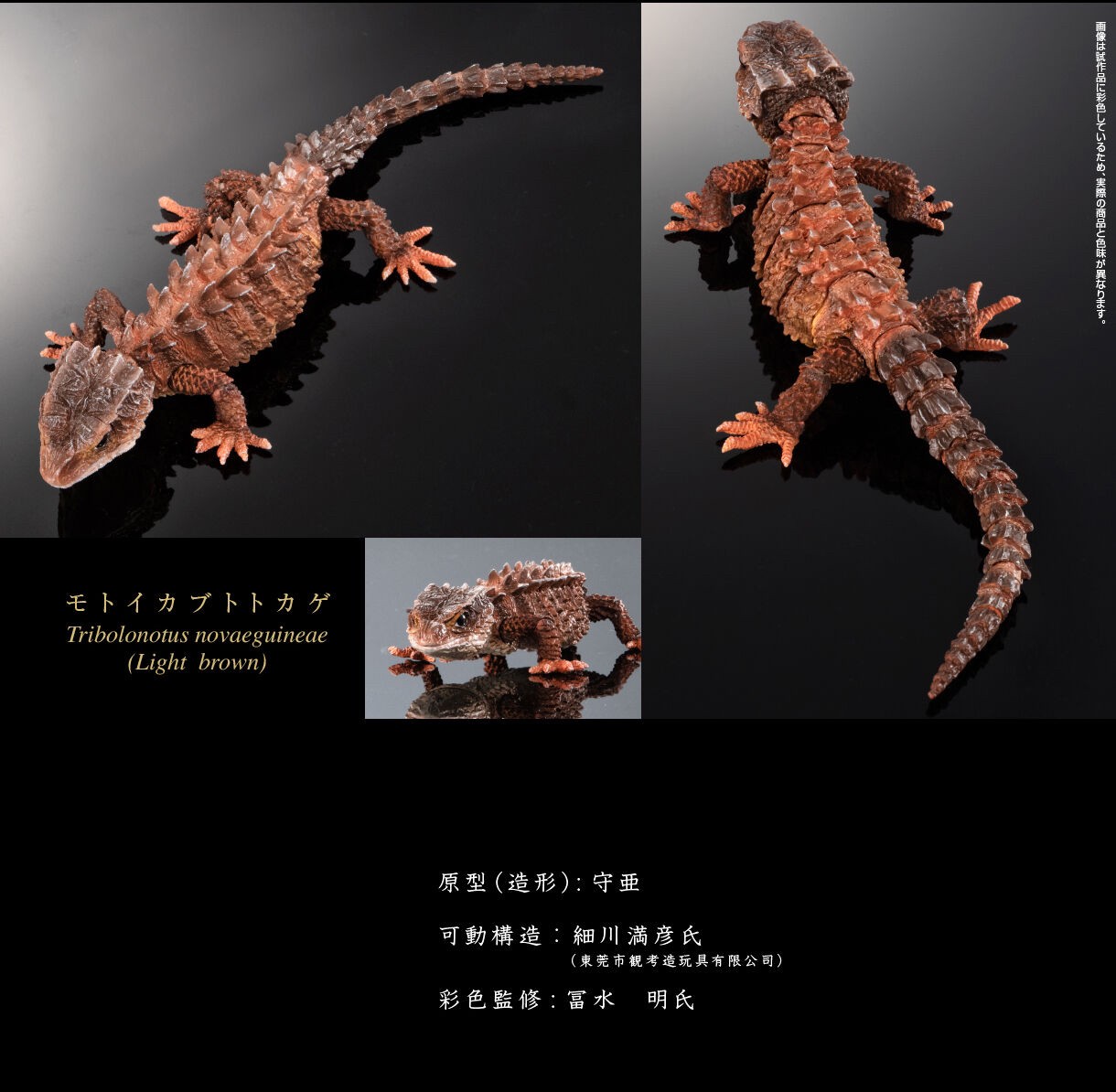 PRE-ORDER : Ikimono Daizukan Red-eyed Crocodile Lizard and Motoikabuto Lizard (Random)