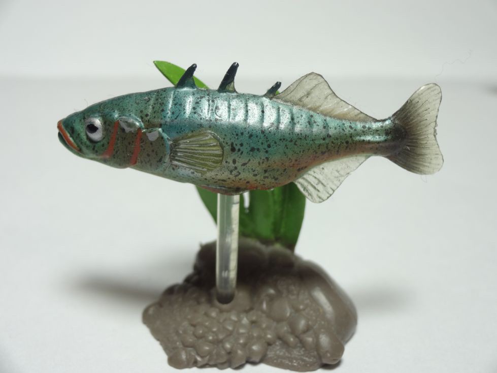 กาชาปอง Freshwater Fish Collection vol. 1 Gashapon (Set of 13) by Yujin
