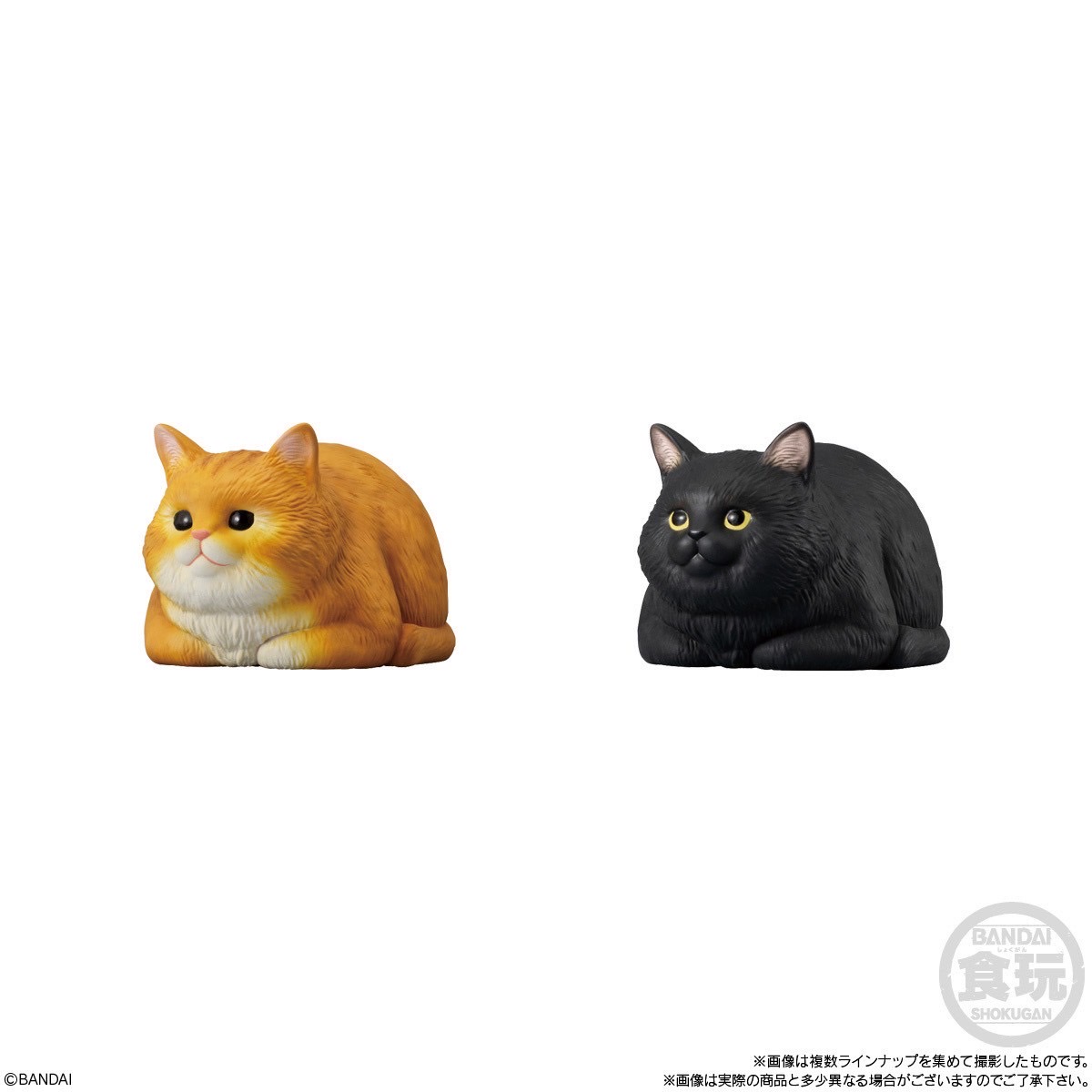 โมเดลแมวพุงนิ่มลิขสิทธิ์แท้ Mocchiri Kororin Cat by Bandai