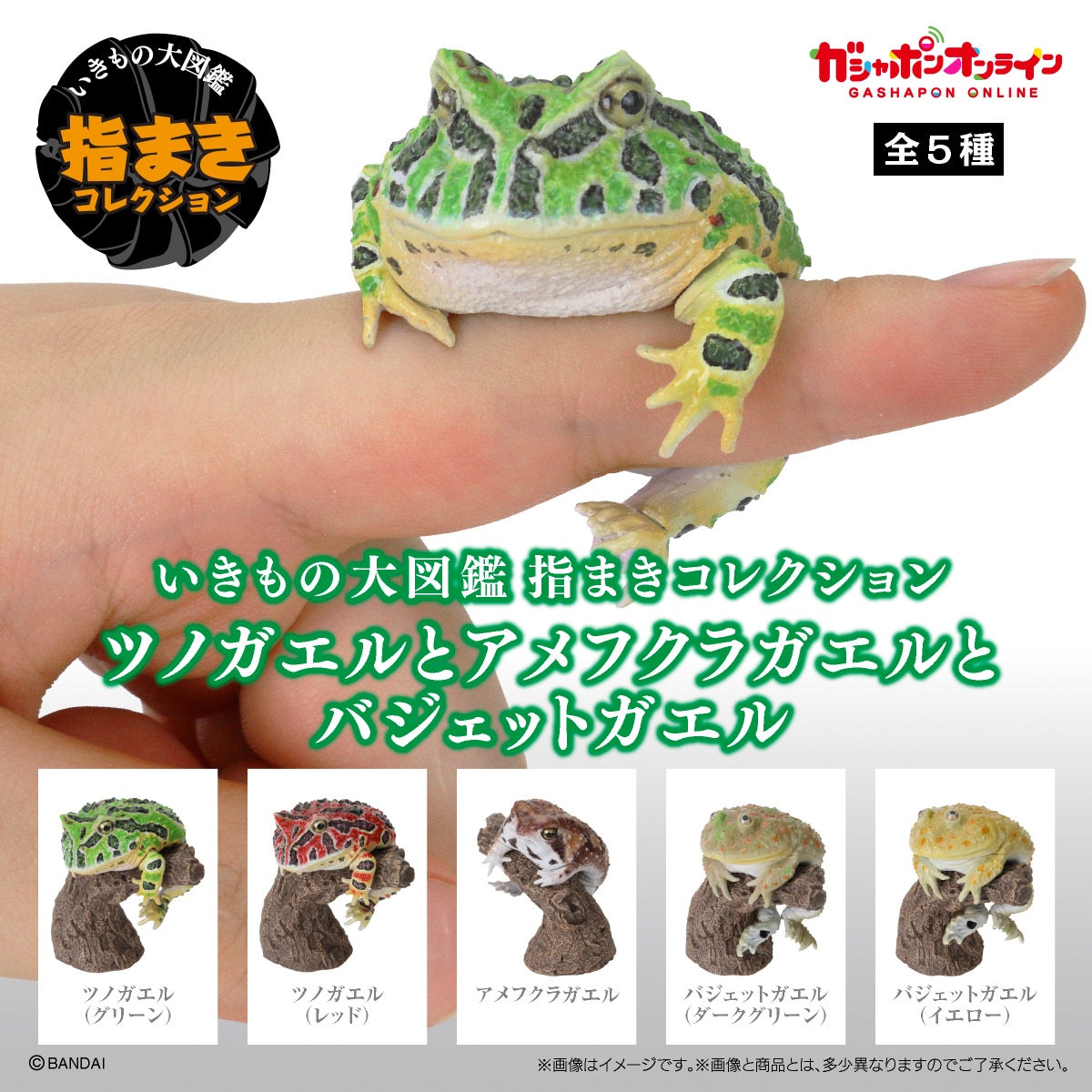 $ Ikimono Encyclopedia Yubimaki Collection Horned Frog & Common Rain Frog & Budgett's Frog