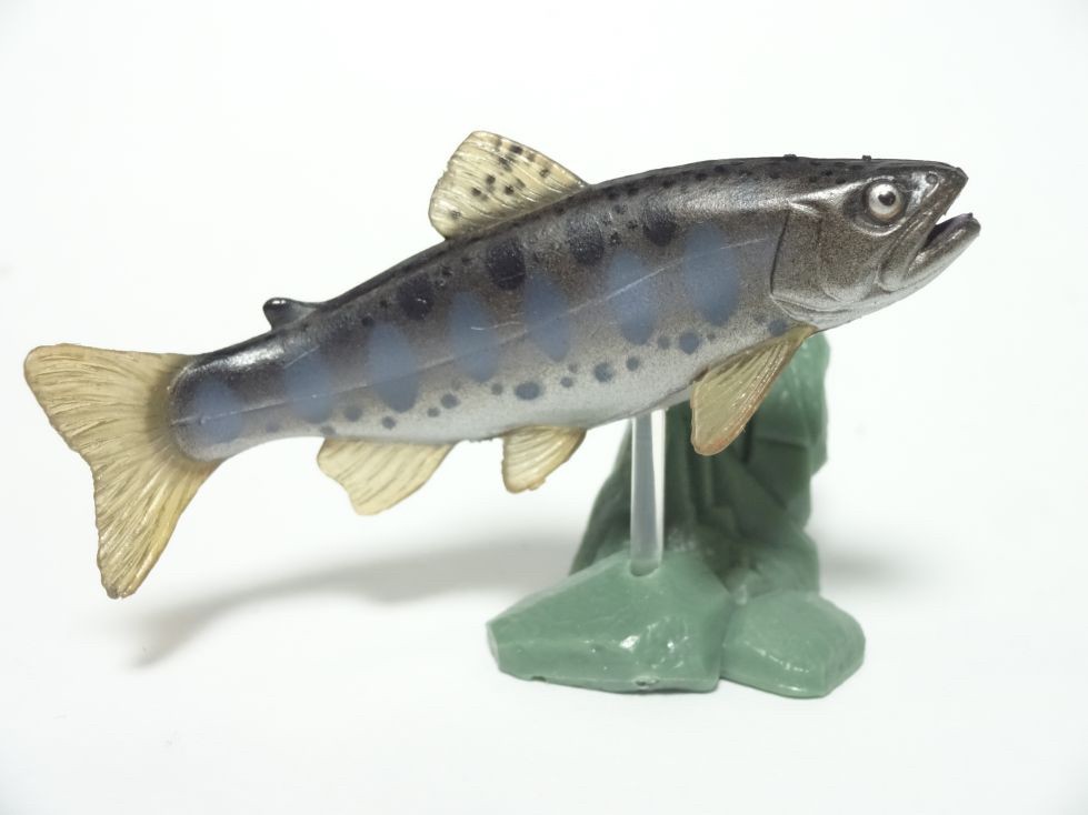 กาชาปอง Freshwater Fish Collection vol. 1 Gashapon (Set of 13) by Yujin