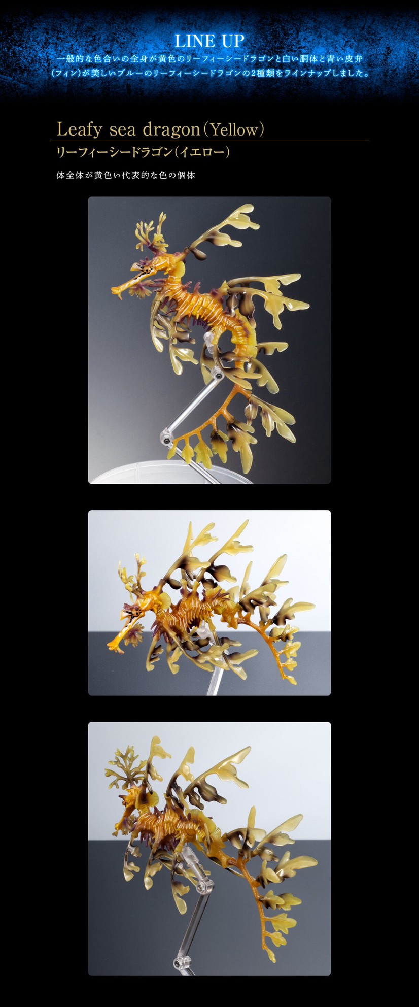 PRE-ORDER : Ikimono Encyclopedia Premium Leafy seadragon