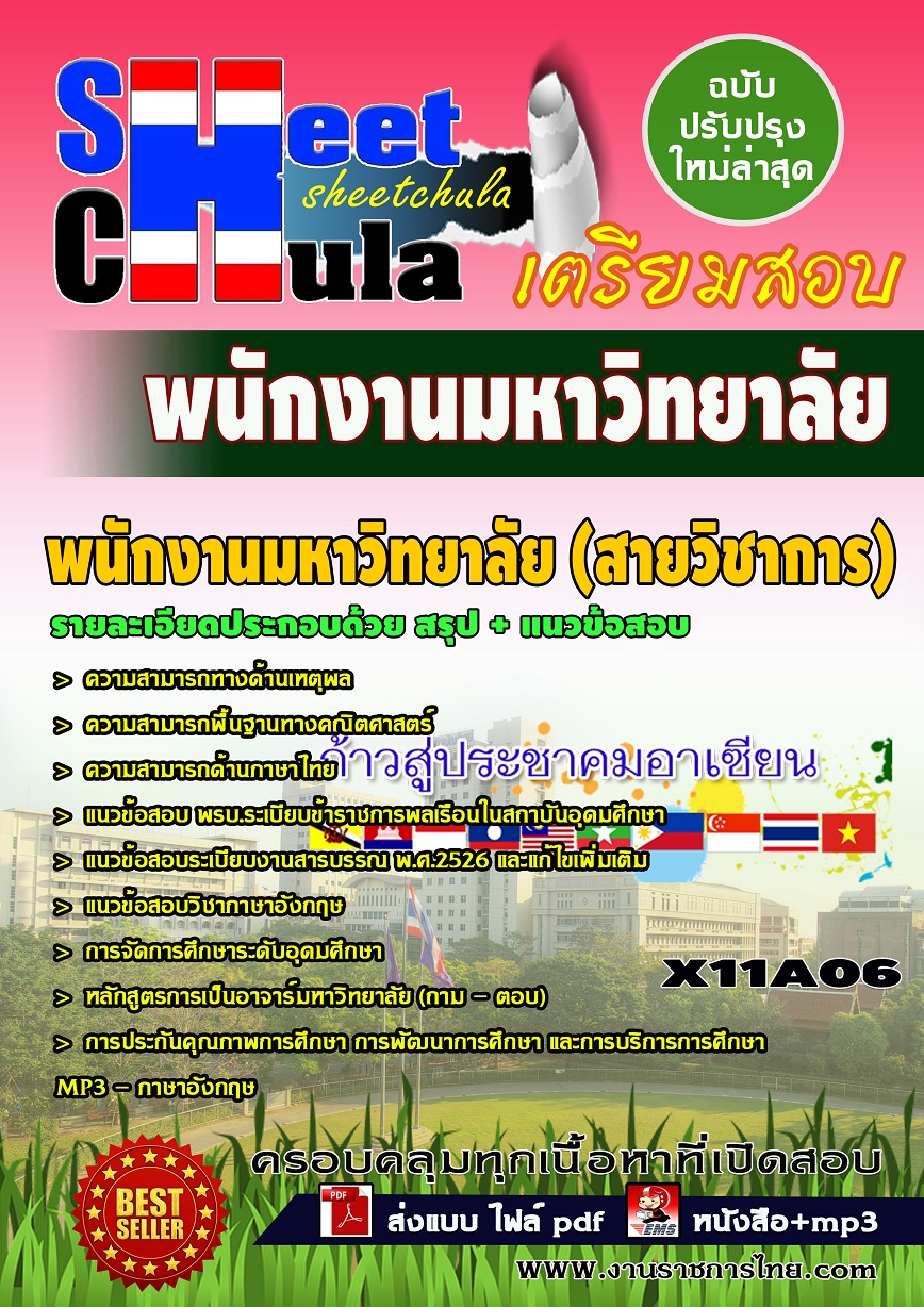 X11A06 พนักงานมหาวิทยาลัย (สายวิชาการ)