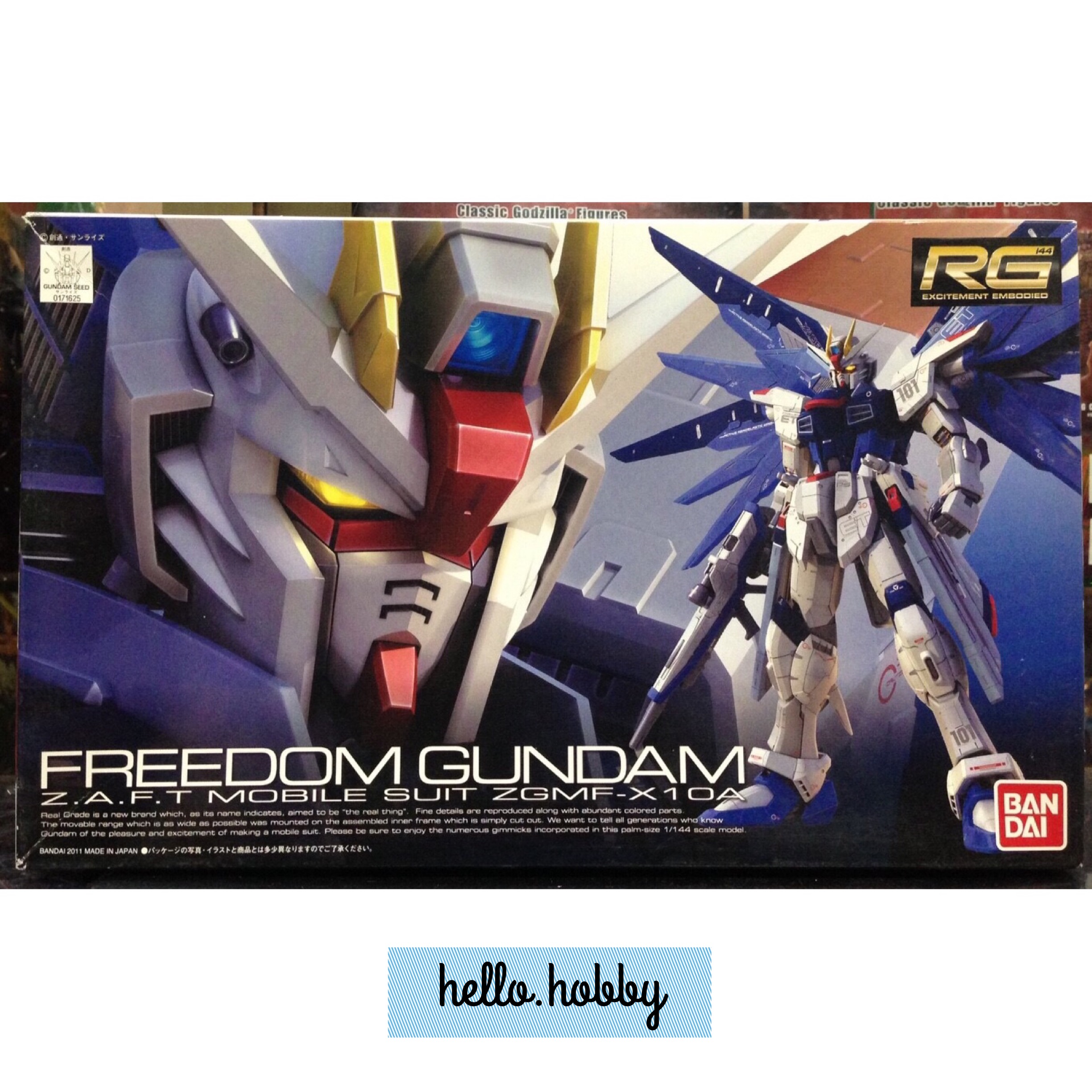 RG 1/144 Freedom Gundam by Bandai