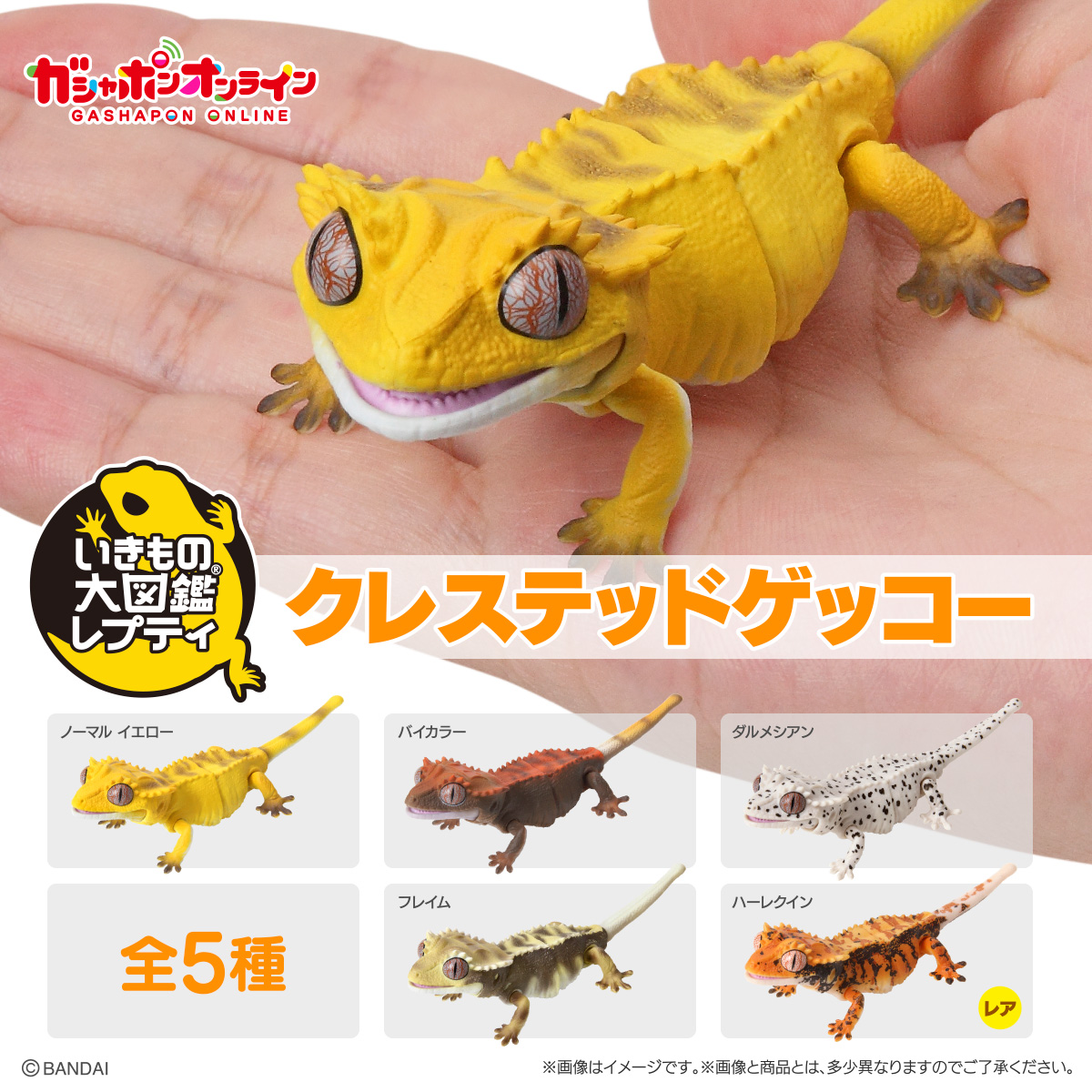 Ikimono Encyclopedia Reptile Crested Gecko 01
