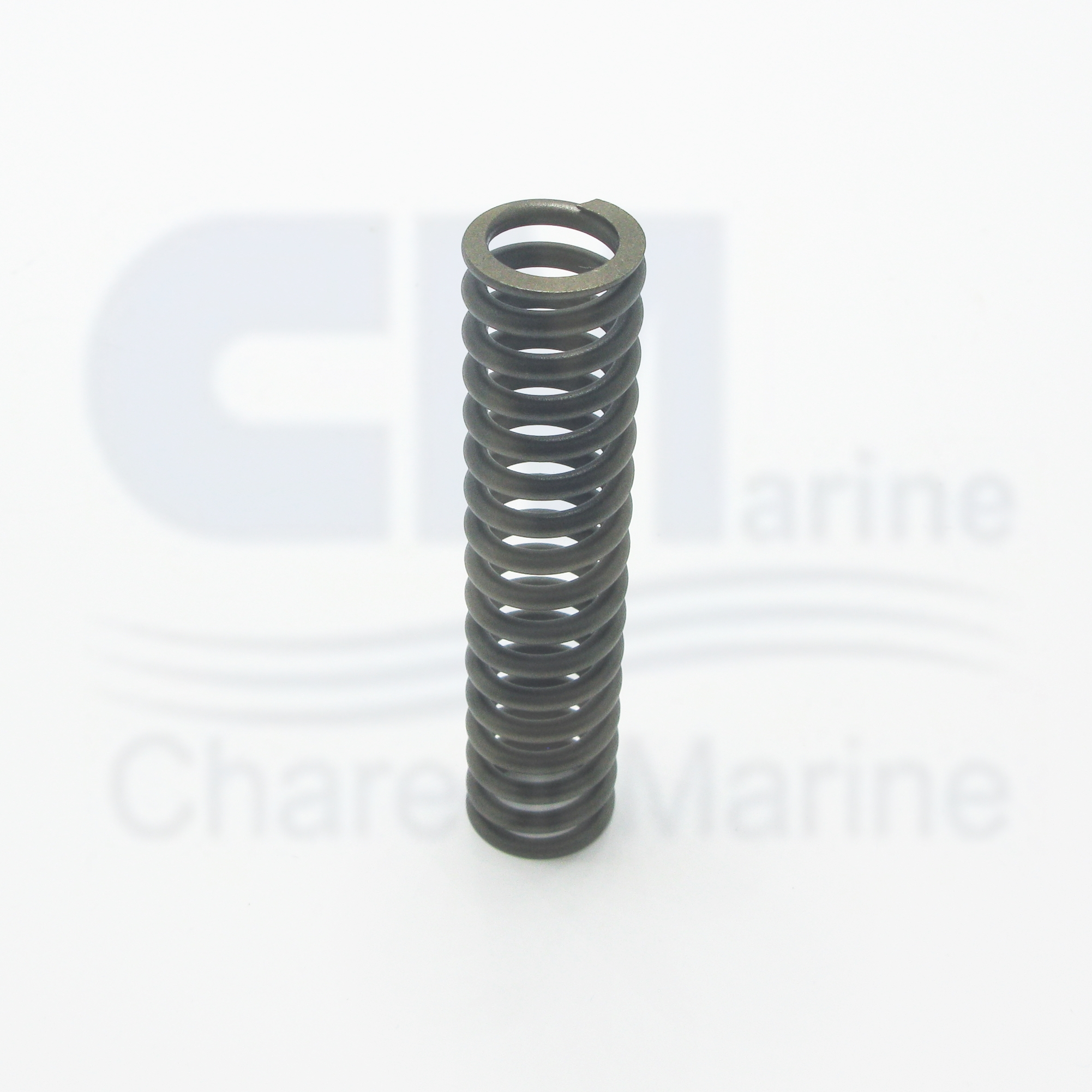 3062415 SPRING,COMPRESSION