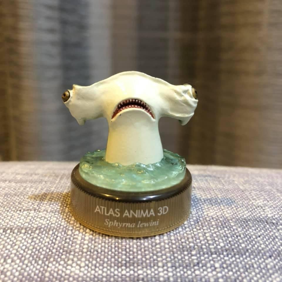 งานฝา สัตว์น้ำ New Enoshima Aquarium World Museum ATLAS ANIMA 3D Bottle Cap Collection (Set of 8) by Kaiyodo