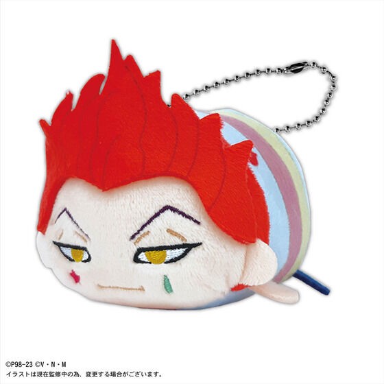 PRE-ORDER : HUNTER×HUNTER doll
