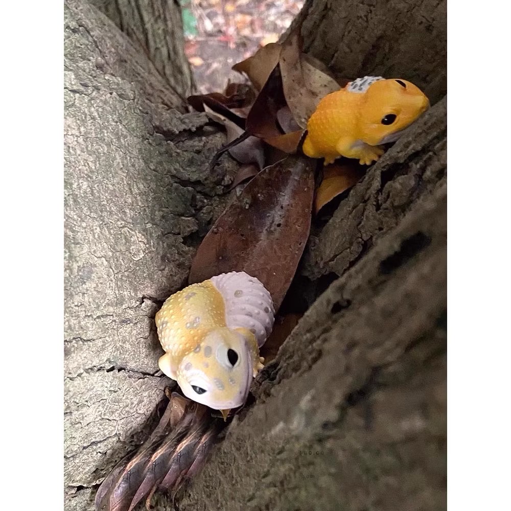 โมเดล สัตว์น่ารัก Tenori Friends 6 by Bandai