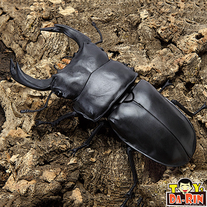 Ikimono Encyclopedia Stag Beetle 03