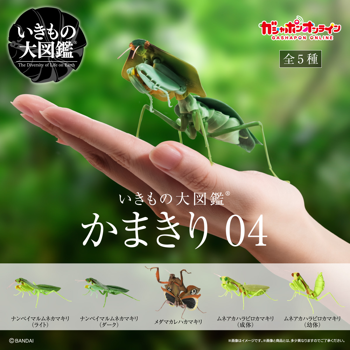 $ Ikimono Encyclopedia Mantis 04