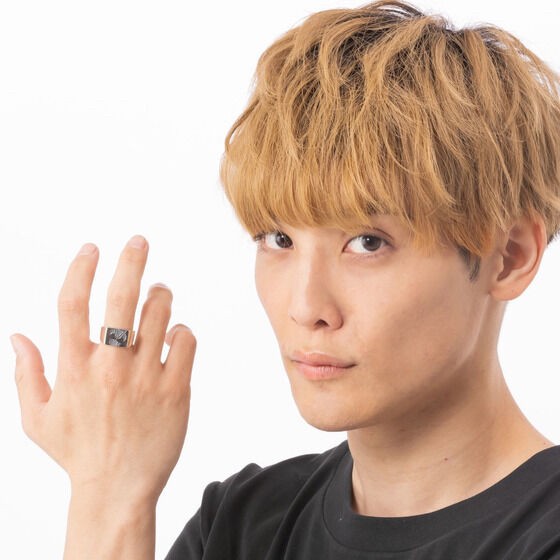 PRE-ORDER : Kamen Rider Silver925 Seal Ring
