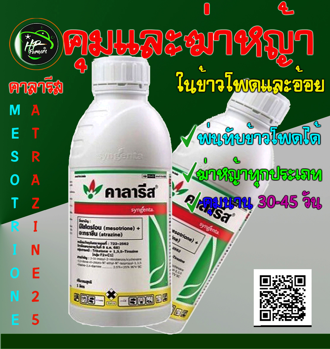 คาลาริส[CALARIS]_1L:"ช่วยให้ข้าวโพดของคุณเติบโตสุดขีด ผลผลิตเพิ่มขึ้น 2เท่ากับคาลาลีส กำจัดหญ้าหมดจด แปลงสะอาดและคุ้มค่า ไร้หญ้าแข่งเเย่งอาหาร !”