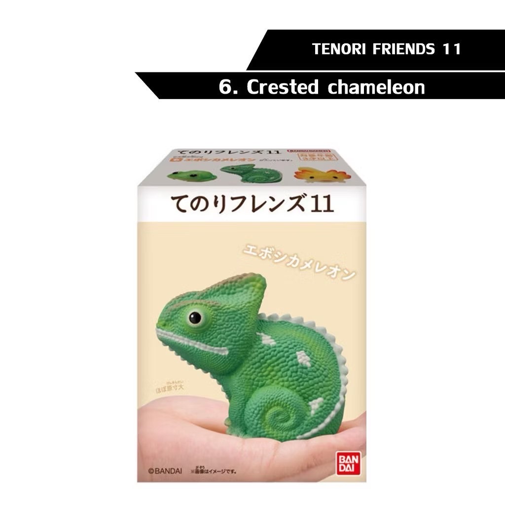 โมเดล สัตว์น่ารัก Tenori Friends 11 Reptiles & Amphibians by Bandai