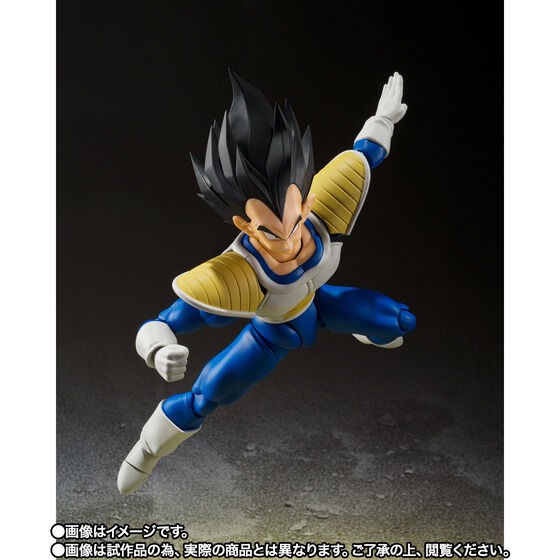 PRE-ORDER : S.H.Figuarts Vegeta -24000 POWER LEVEL-