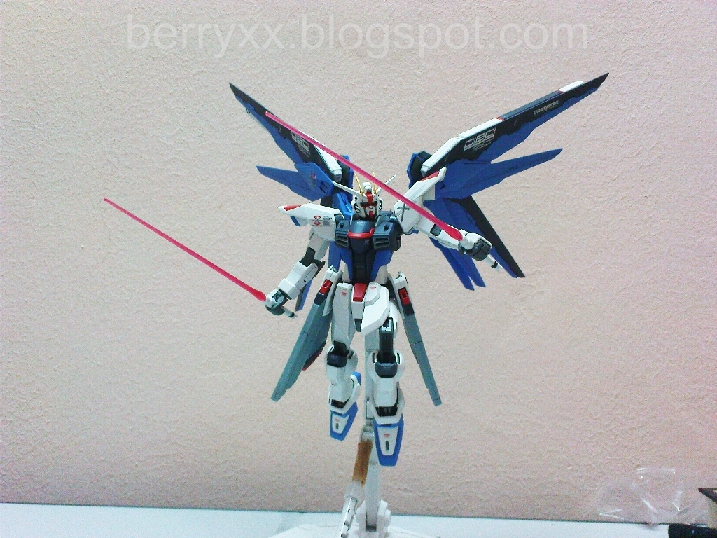 MG 1/100 ZGMF-X10A Freedom Gundam by Bandai