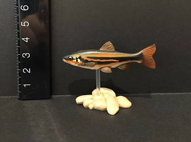 กาชาปอง Freshwater Fish Collection vol. 1 Gashapon (Set of 13) by Yujin