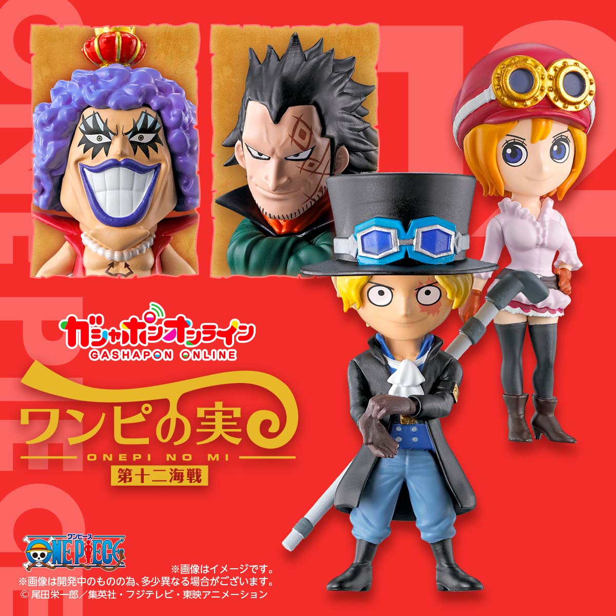 $ One Piece ONEPI NO MI 12 (Purple)