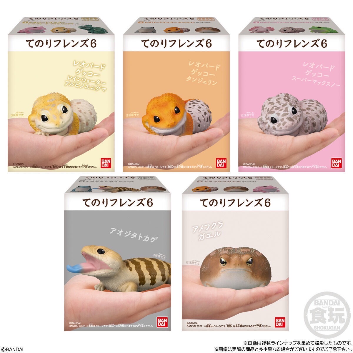 โมเดล สัตว์น่ารัก Tenori Friends 6 by Bandai