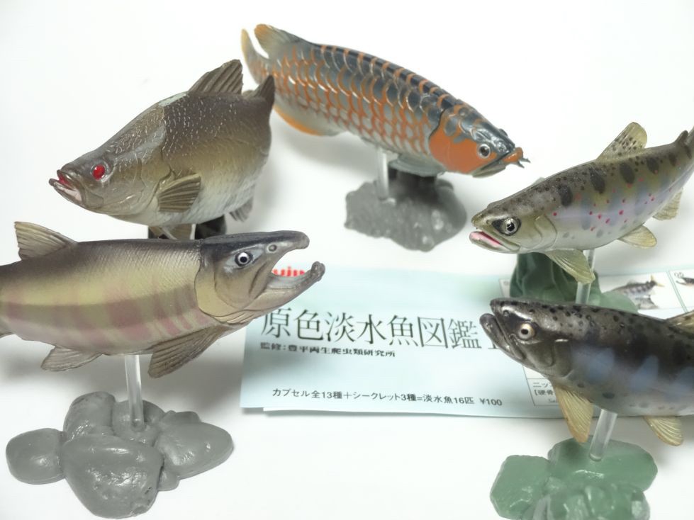กาชาปอง Freshwater Fish Collection vol. 1 Gashapon (Set of 13) by Yujin