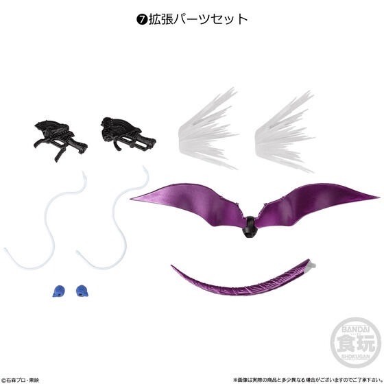 PRE-ORDER : Shodo-XX Kamen Rider 10 (10 pcs)