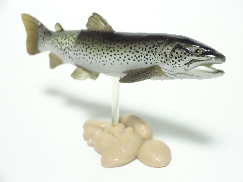 กาชาปอง Freshwater Fish Collection vol. 1 Gashapon (Set of 13) by Yujin