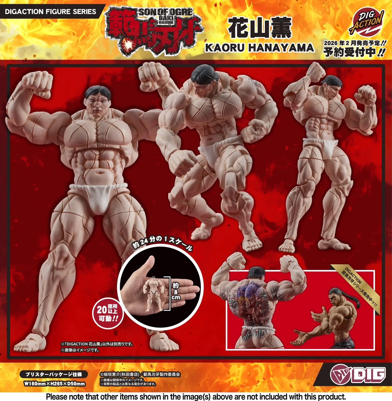 Pre-order : 1/24 DIGACTION Son of Ogre Baki Hanma: Baki Hanma / Kaoru Hanayama by DIG
