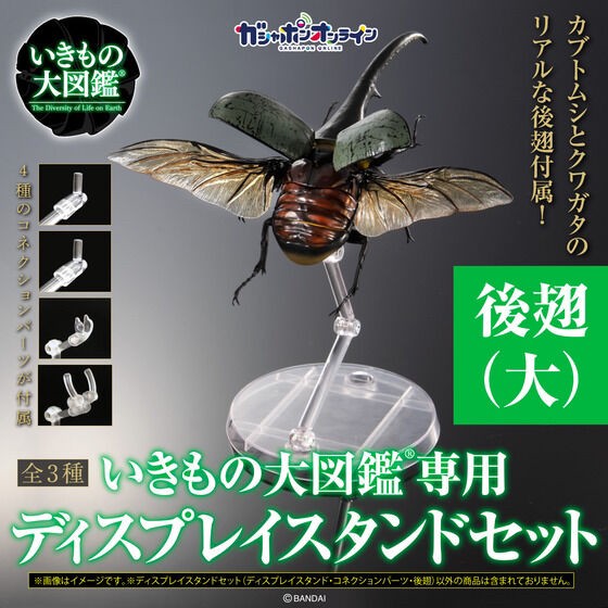 PRE-ORDER : Display Stand for Beetles and Stag Beetles Set for Exclusive Use of Ikimono Encyclopedia