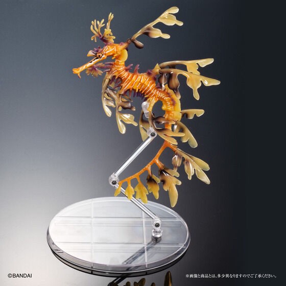 PRE-ORDER : Ikimono Encyclopedia Premium Leafy seadragon