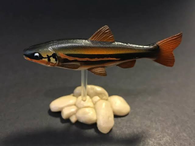 กาชาปอง Freshwater Fish Collection vol. 1 Gashapon (Set of 13) by Yujin