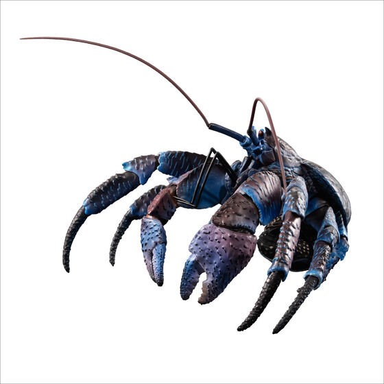 PRE-ORDER : Ikimono Encyclopedia Premium Coconut Crab