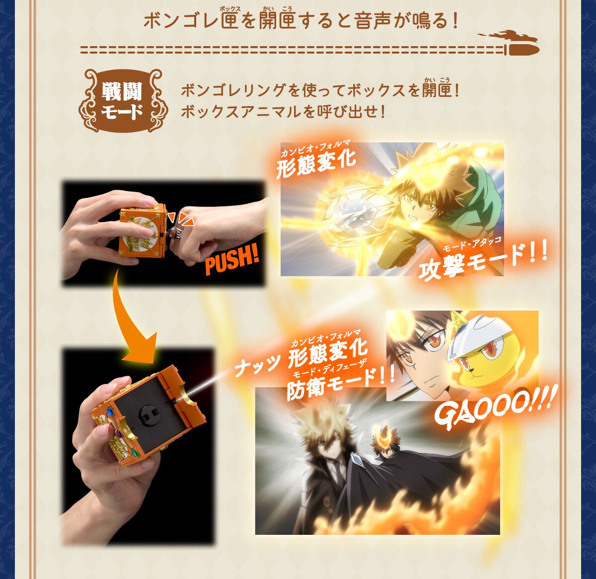 PRE-ORDER : Katekyo Hitman Reborn! Special Memorize Vongola Box & Vongola Ring Set (Tsunayoshi Sawada/Kyoya Hibari/Mukuro Rokudo) (3 types in total)