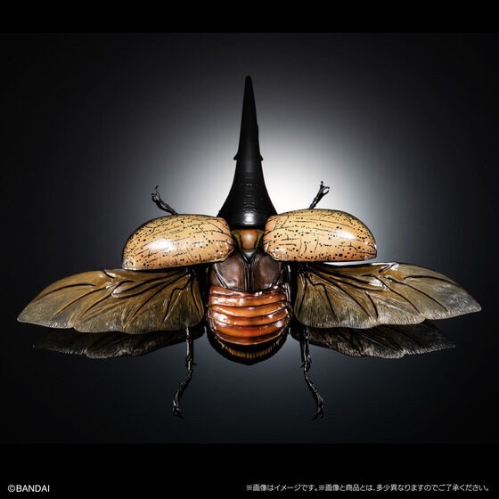 PRE-ORDER : Ikimono Encyclopedia Premium Hercules Beetle (Dynastes hercules)