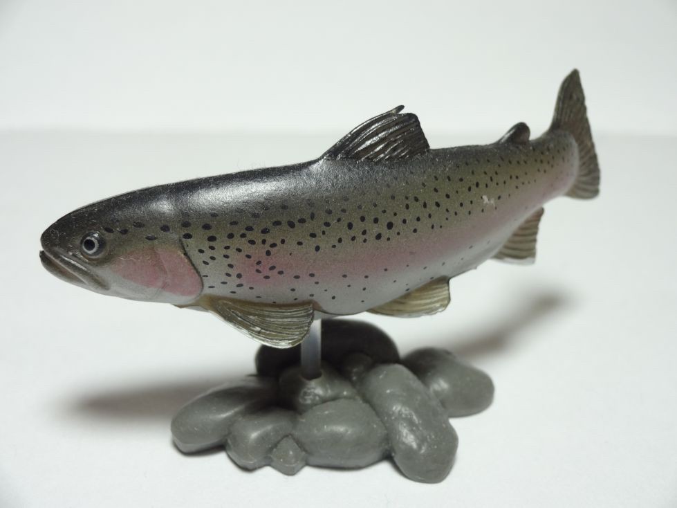 กาชาปอง Freshwater Fish Collection vol. 1 Gashapon (Set of 13) by Yujin