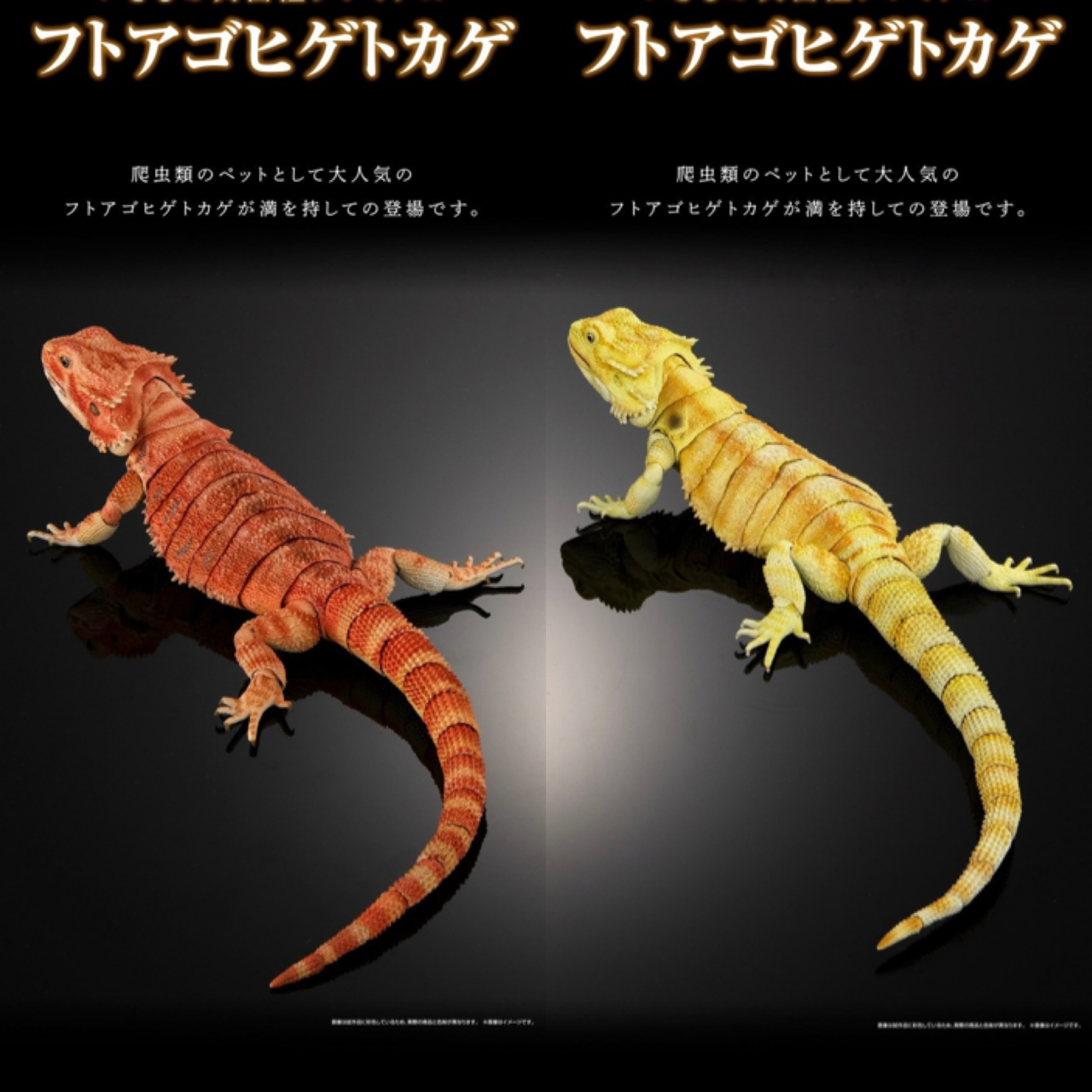 Pre-order : The Diversity of Life on Earth Premium Central Bearded Dragon (Yellow / Red)