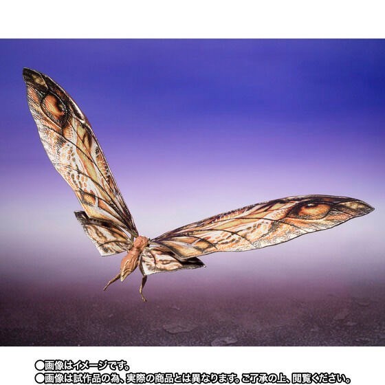 PRE-ORDER : S.H.MonsterArts SUKO & MOTHRA (2024) FROM GODZILLA x KONG: THE NEW EMPIRE