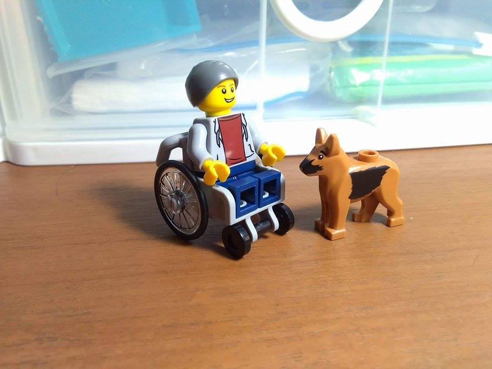 Lepin 02058 City Fun in The Park 258pcs