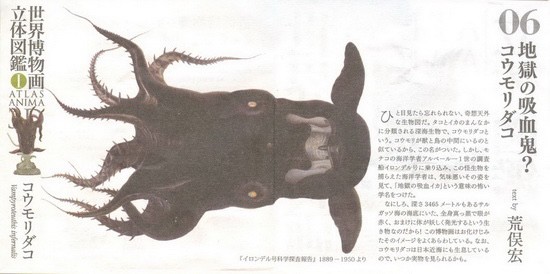 งานฝา สัตว์น้ำ New Enoshima Aquarium World Museum ATLAS ANIMA 3D Bottle Cap Collection (Set of 8) by Kaiyodo