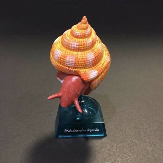 กาชาปอง Earth Life Journey Living Fossil Collection Gashapon (Set of 6) by EPOCH